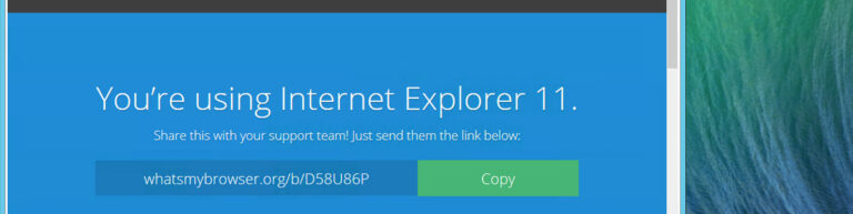 internet-ex