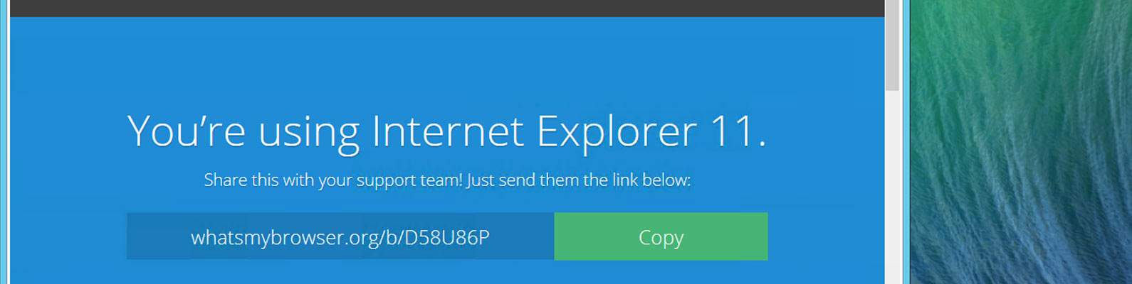 internet-ex
