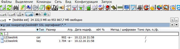 появятся два файлика